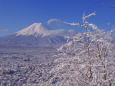 春の雪景色2