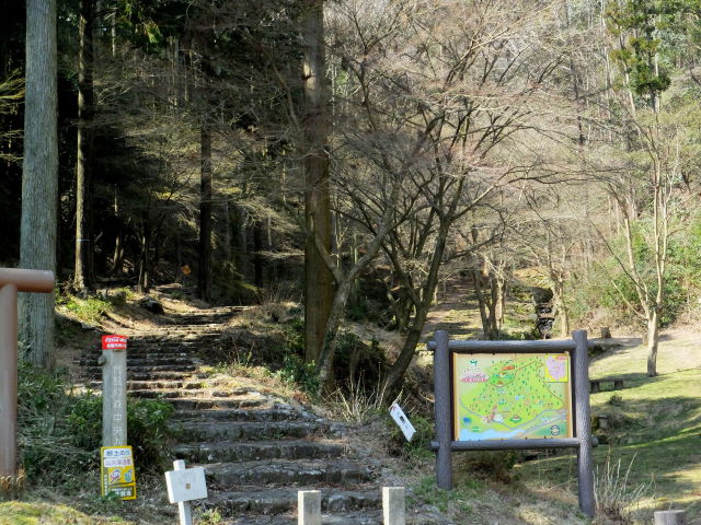 市民の森展望台への道