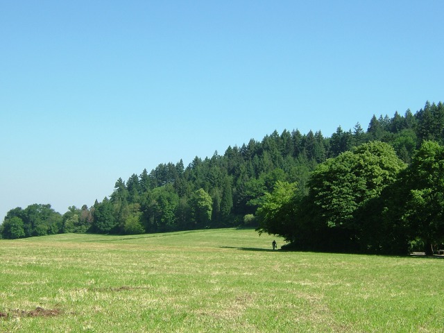 Schauinsland街道横の牧草地から