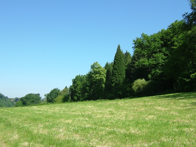 Schauinsland街道横の牧草地から