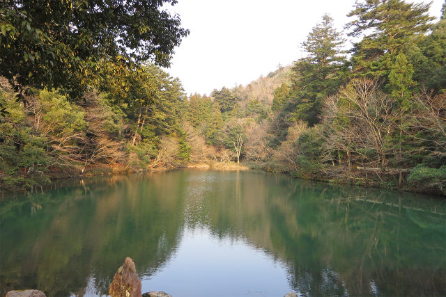 大宮池2/樗谿公園