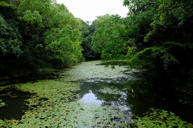 緑あふれる栗林公園