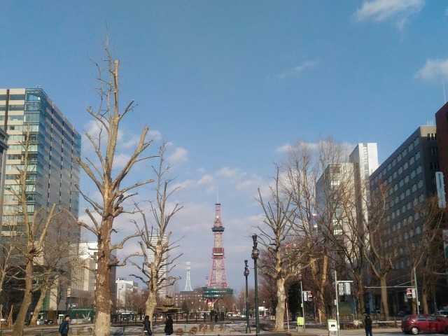 春が来た大通公園