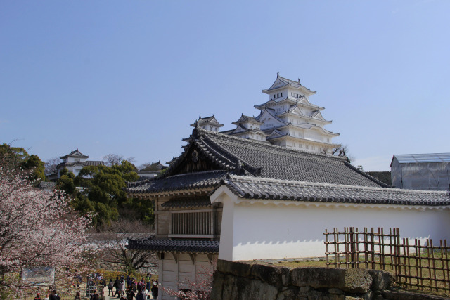 西の丸から天守閣方面を