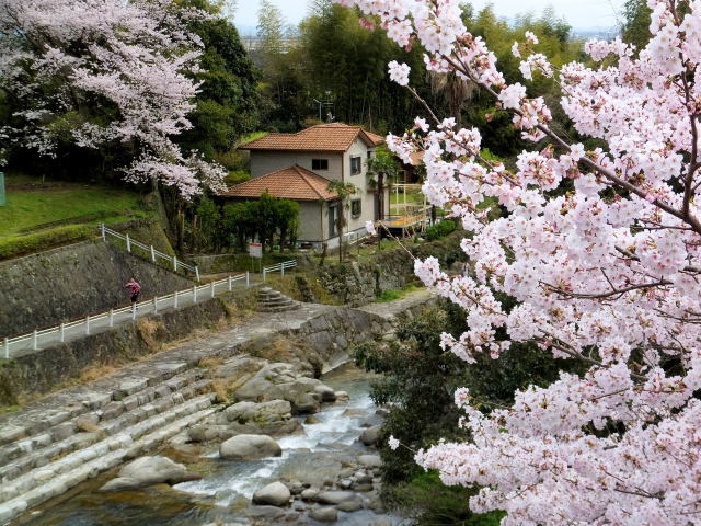 川辺の風景