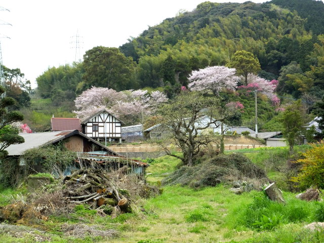 山里の春景色