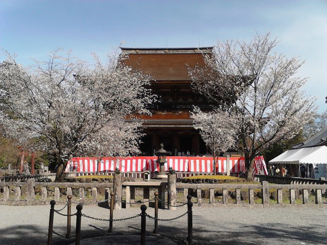 吉野山・金峯山寺蔵王堂と四本桜