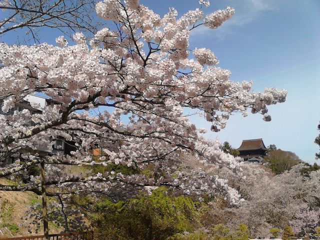 吉野山・金峯山寺蔵王堂を眺望