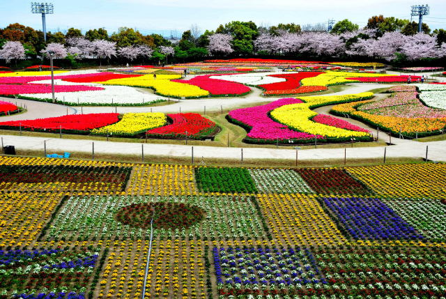 春らんらん広がる花もよう