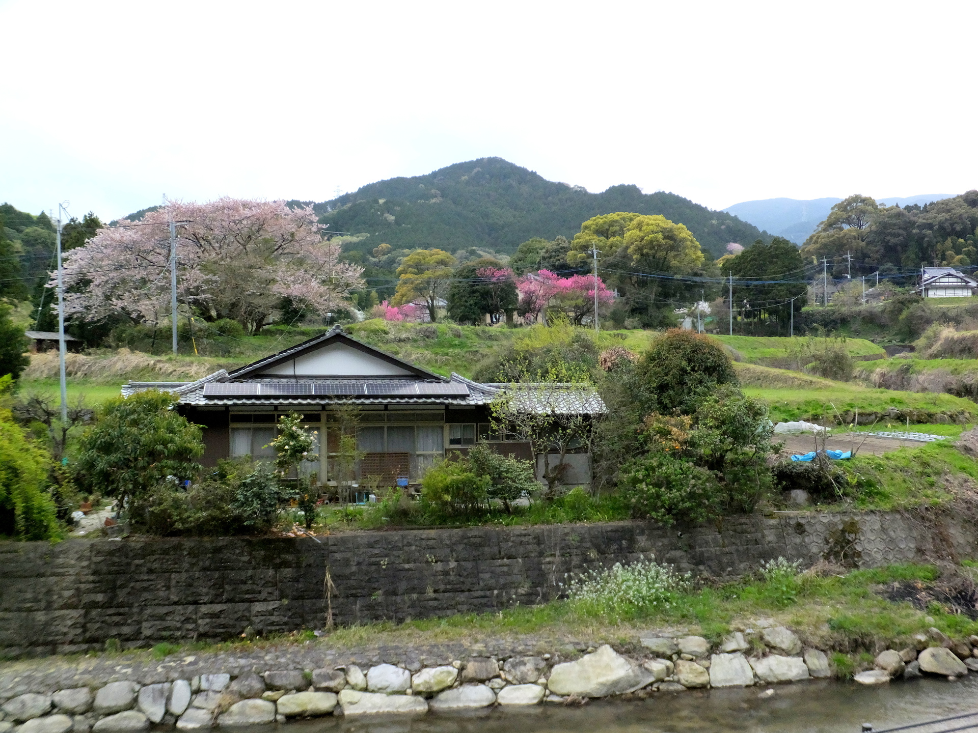 日本の風景 田舎の春 壁紙19x1440 壁紙館