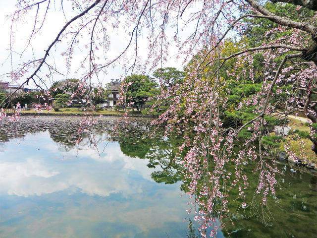 春の衆楽園2