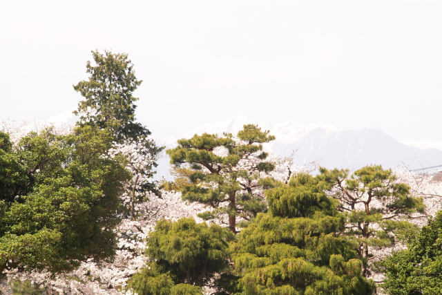 自然を感じる風景by松本