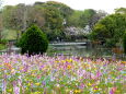 春の公園で