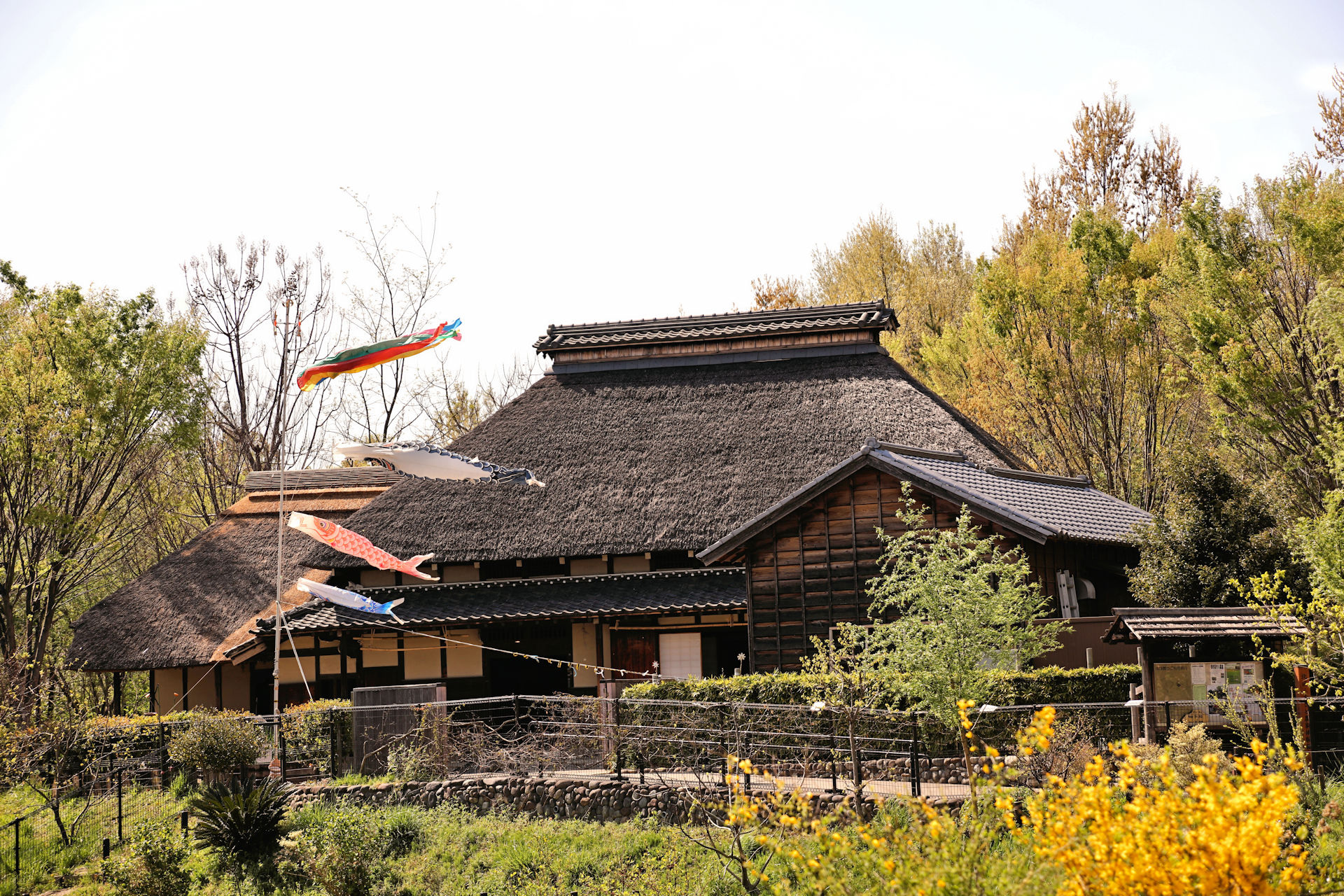 日本の風景 古民家に泳ぐ鯉のぼり 壁紙19x1280 壁紙館