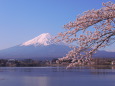 春の河口湖畔