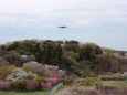 さくらの山公園