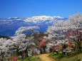 花見山からの眺望