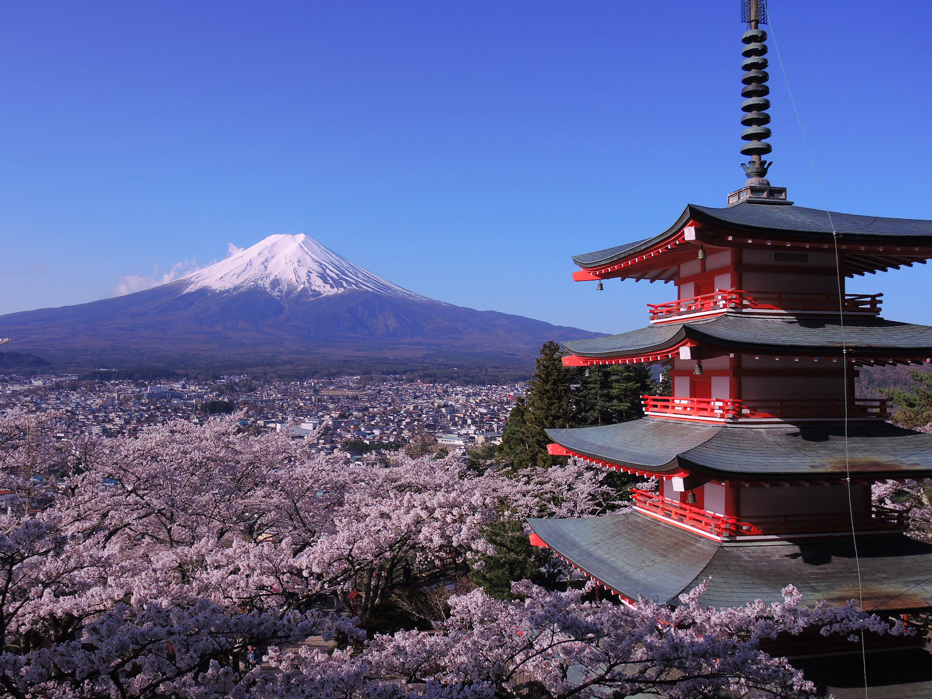 トップ100 桜 富士山 壁紙 Iphone 美しい花の画像