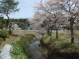 春の小川