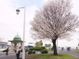 横浜山下公園