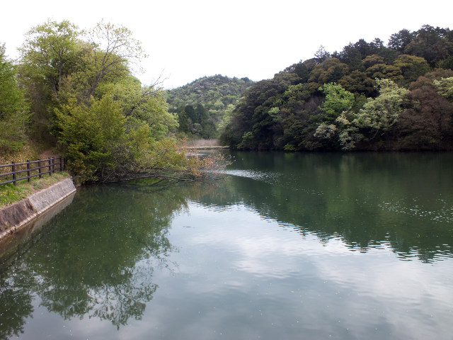 ため池百選の八幡池