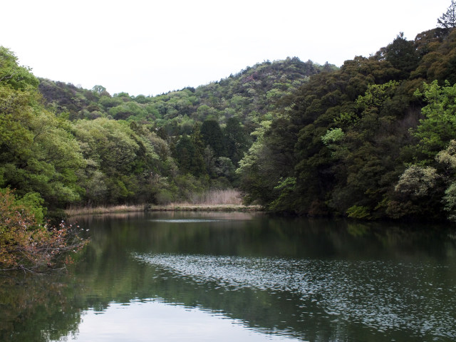 ため池百選の八幡池