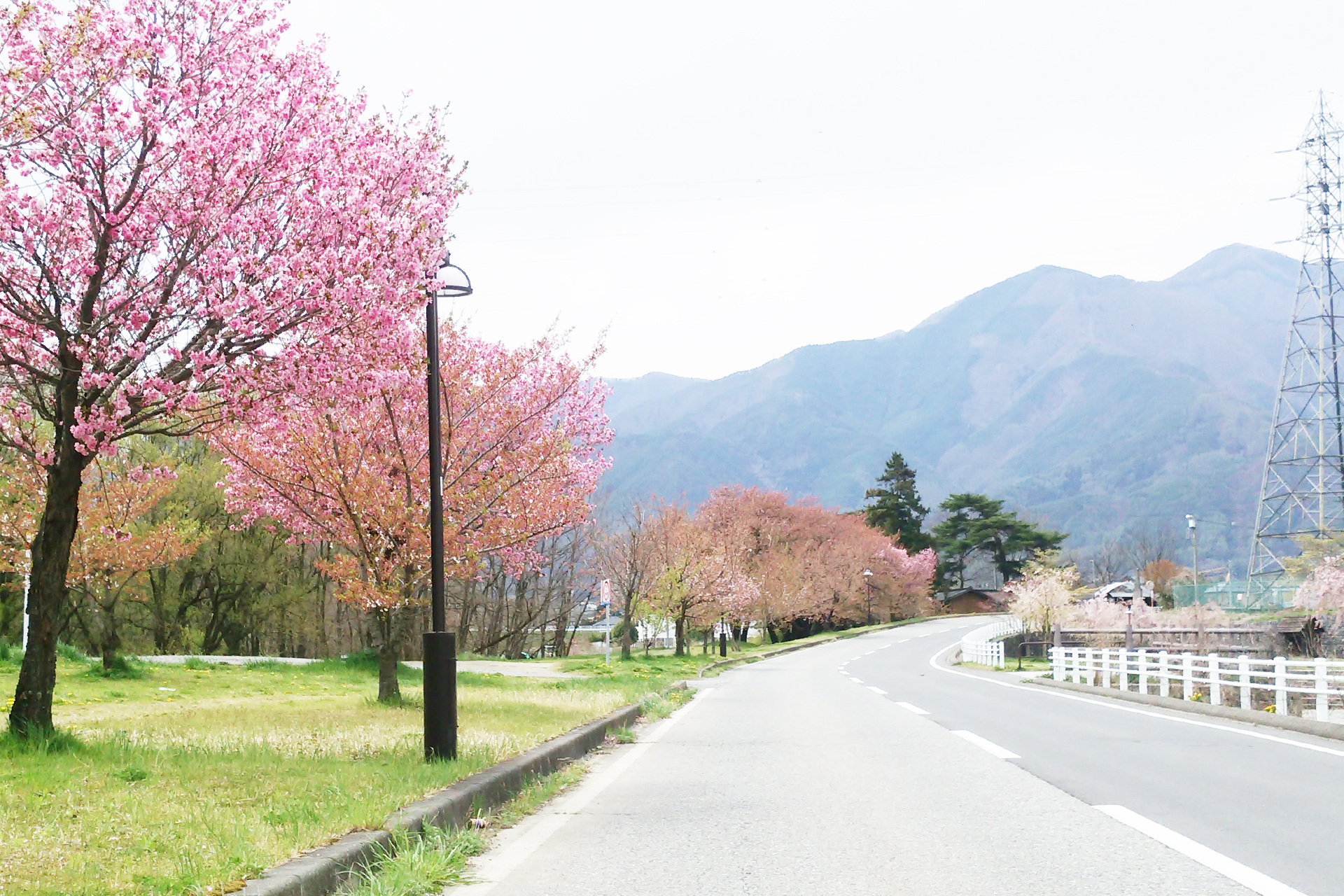 日本の風景 春を感じる季節 壁紙19x1280 壁紙館