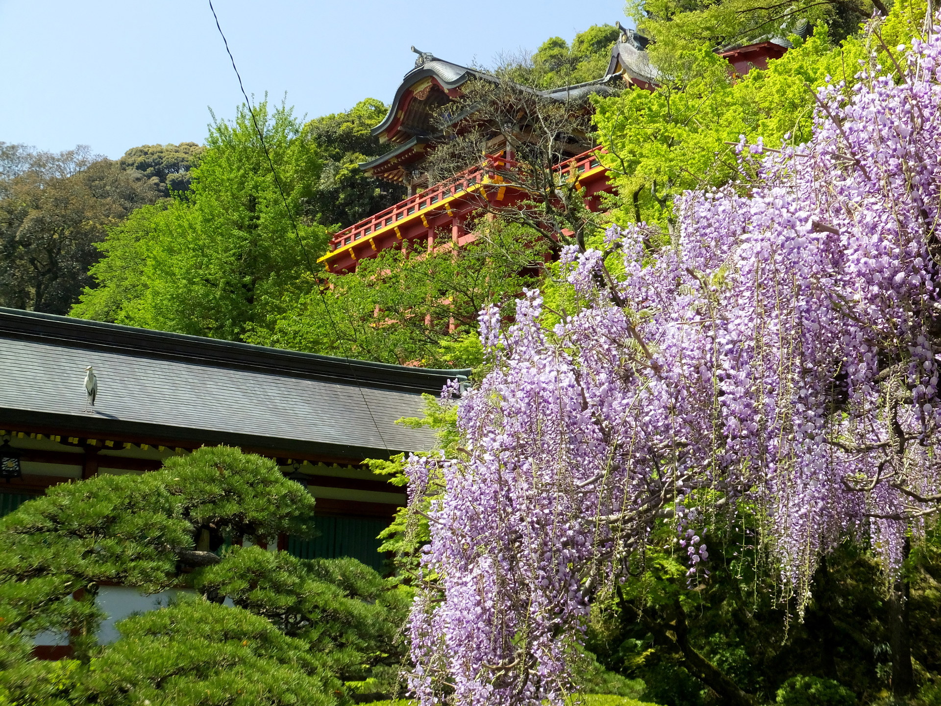 日本の風景 春いっぱいの祐徳稲荷神社 壁紙19x1440 壁紙館
