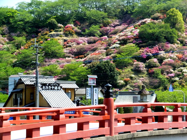 神社の花園