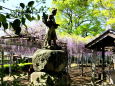 神社の境内の春