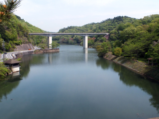 新緑のダム湖