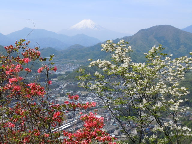 岩殿山から見る富士山