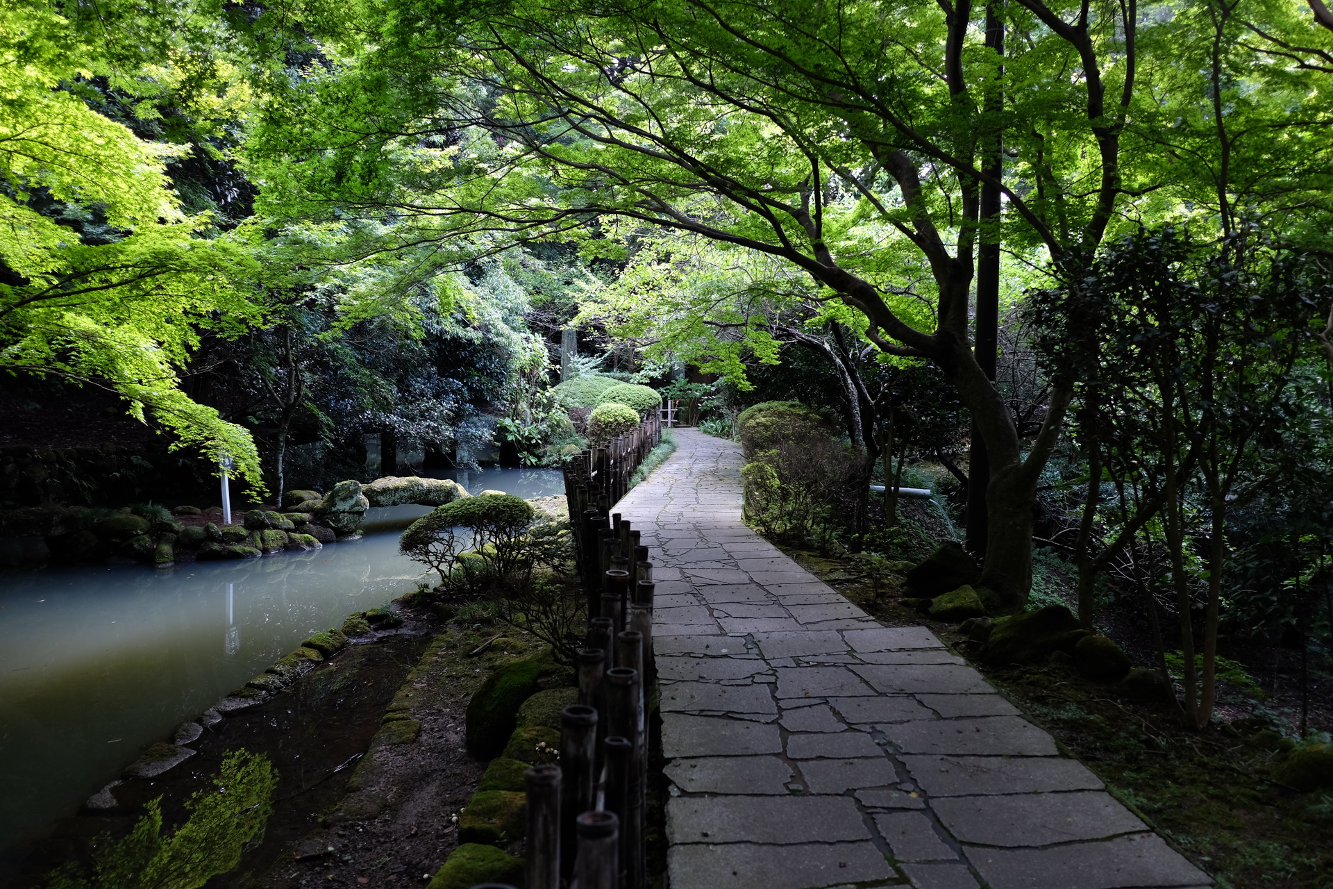 日本の風景 日本寺のあふれる緑 壁紙19x1280 壁紙館