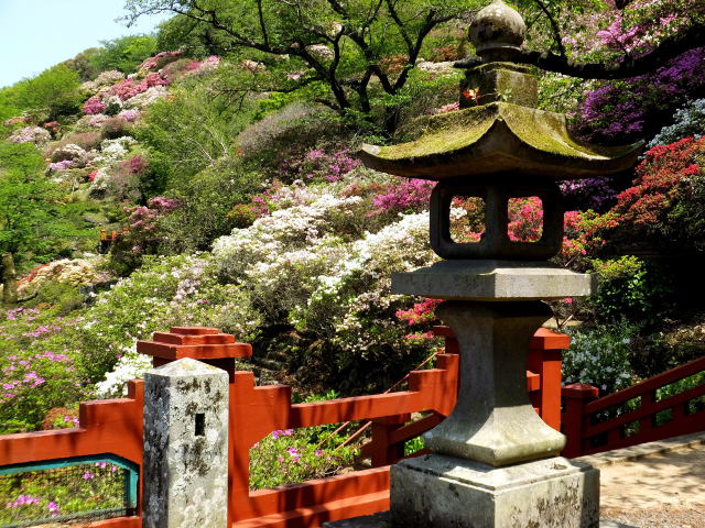 神社の花園