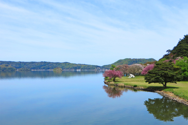 穏やかな春の湖山池