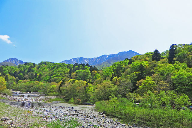 新緑と残雪の大山北壁