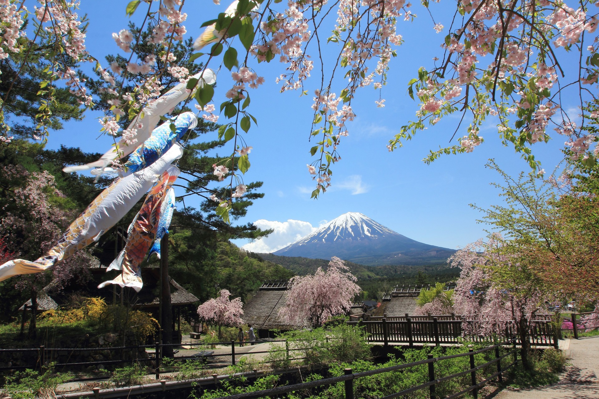 日本の風景 五月の富士 壁紙1920x1280 壁紙館