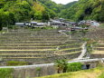 棚田の風景