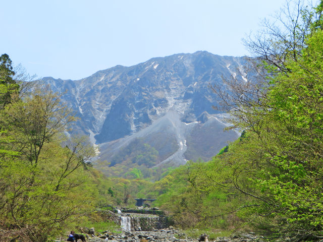 新緑と残雪の大山北壁4