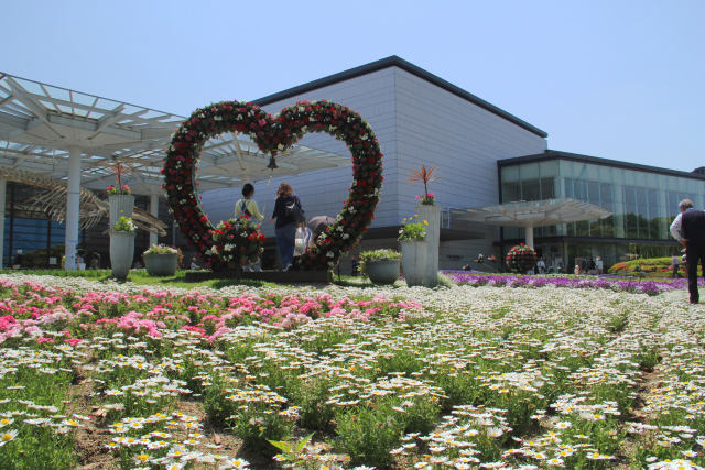 長居植物園・大花壇#1