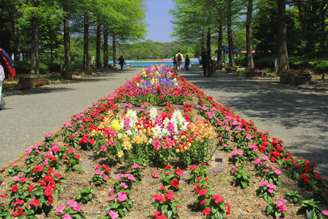 長居植物園・エントランス