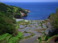 浜の浦棚田