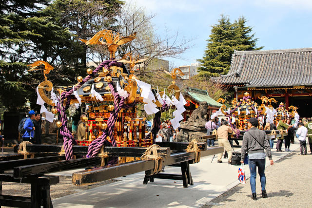 浅草三社祭 宮だし 神輿