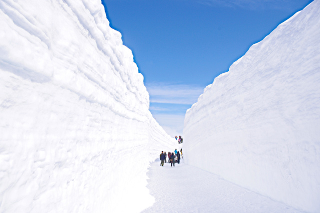 室堂・雪の回廊