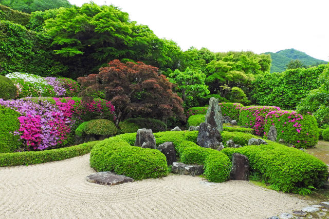 春の頼久寺庭園4