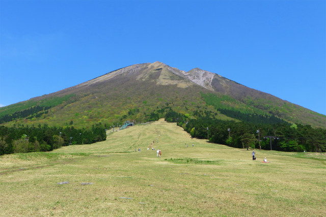 新緑の進む大山