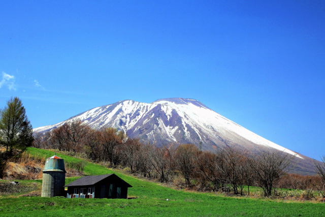 春の小岩井農場