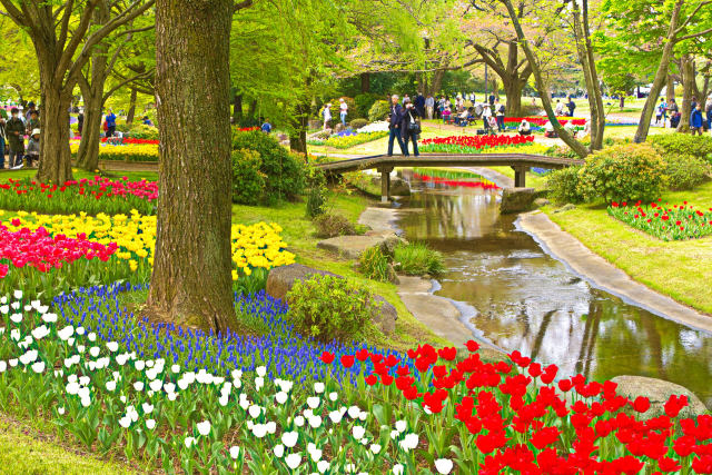 春の花園