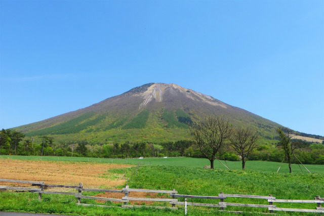 新緑の進む大山2