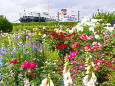 山下公園・氷川丸と春の花園